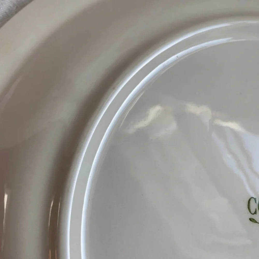 Vintage Colorware Nikko Sage Serving plate 12” Cottagecore Grandmacore Earthy*